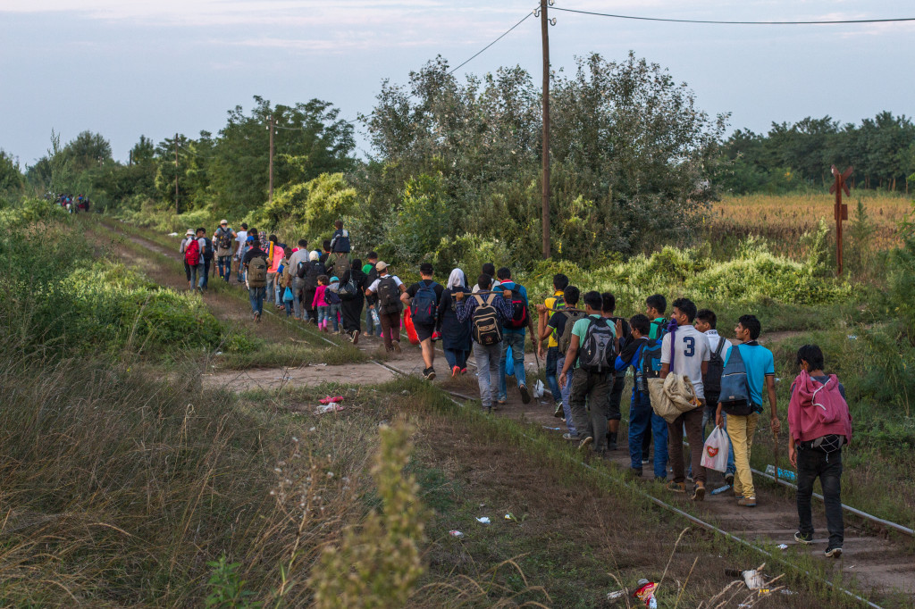 Refugees crossing the Serbia-Hungary border (Julia Druelle/Balkanist)